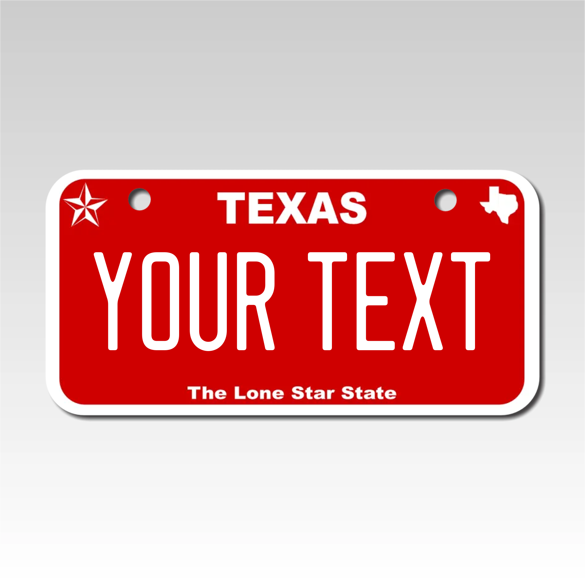Personalized Texas 3" X 6" Aluminum License Plate Version 6