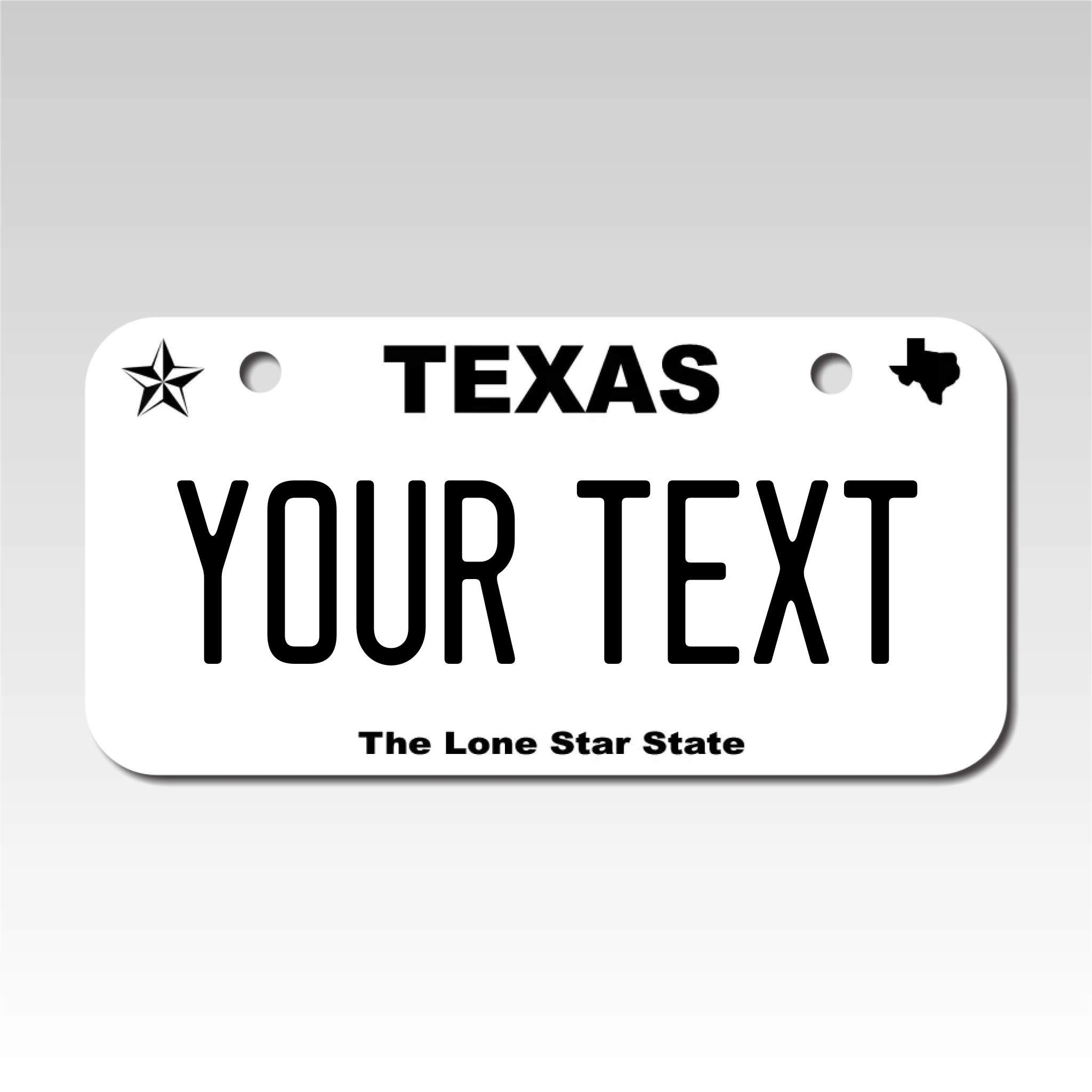 Personalized Texas 3" X 6" Aluminum License Plate Version 4