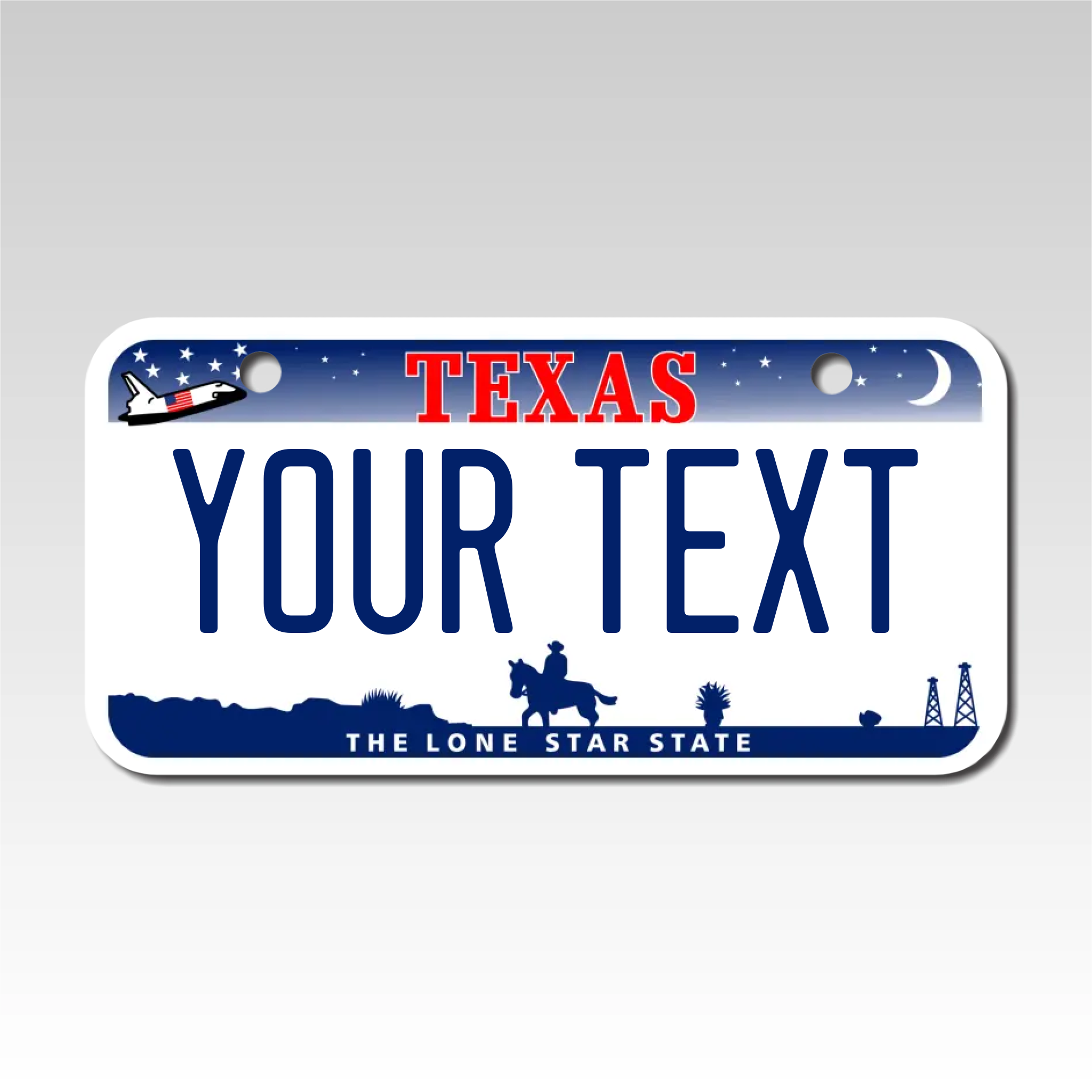 Personalized Texas 3" X 6" Aluminum License Plate Version 3