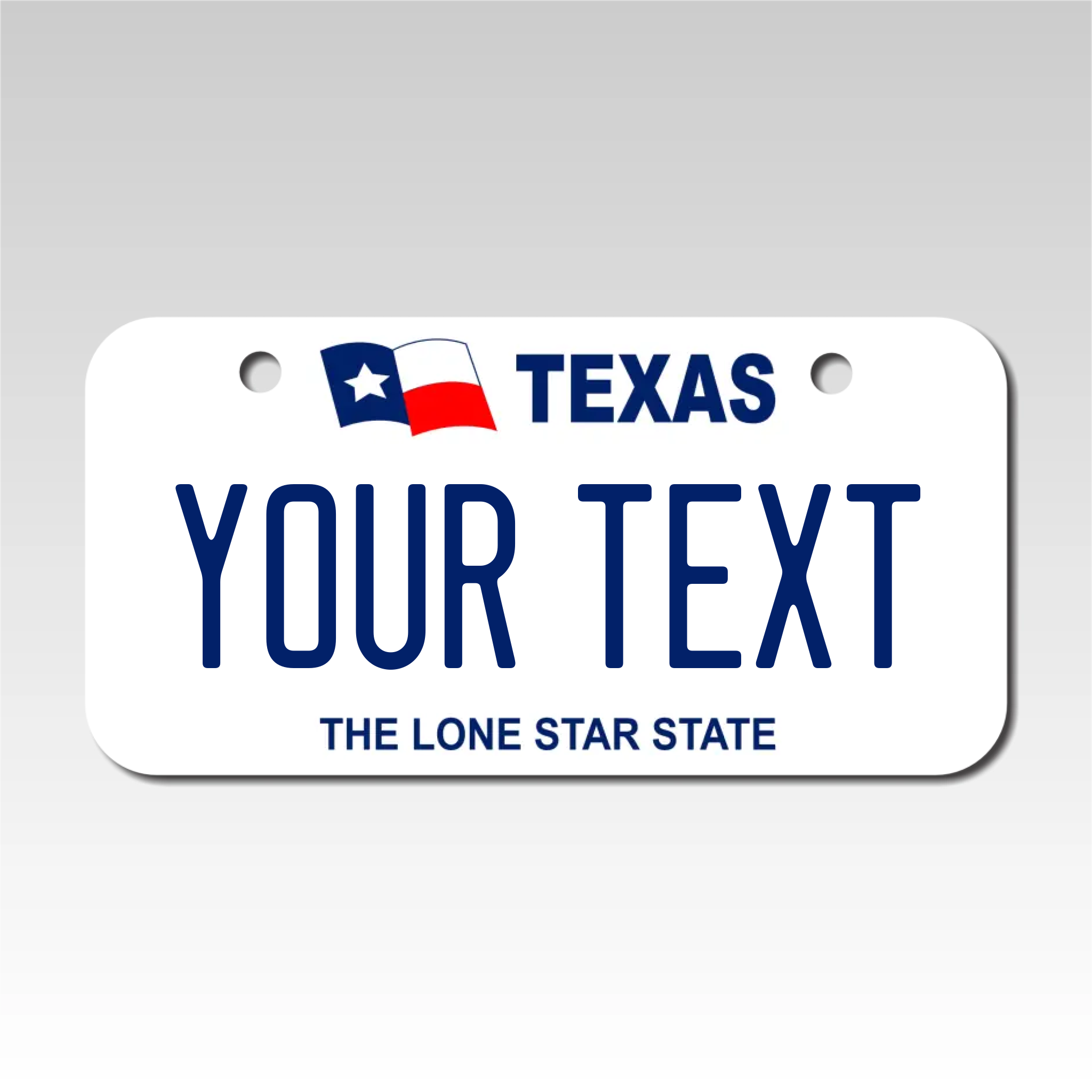 Personalized Texas 3" X 6" Aluminum License Plate Version 1