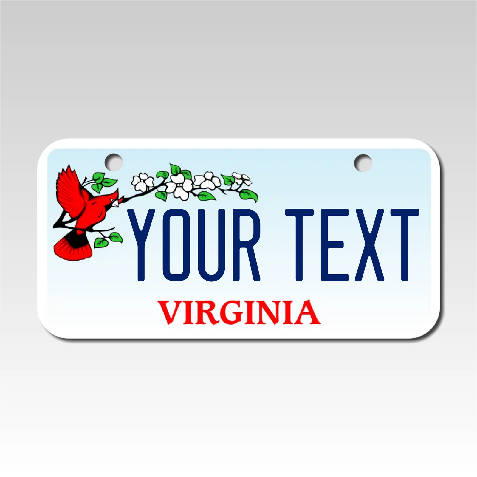 Personalized Virginia 3