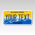 Personalized Virginia 3" X 6" Aluminum License Plate Version 4