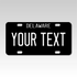 Personalized Delaware 3" X 6" FRP Plastic License Plate Version 2