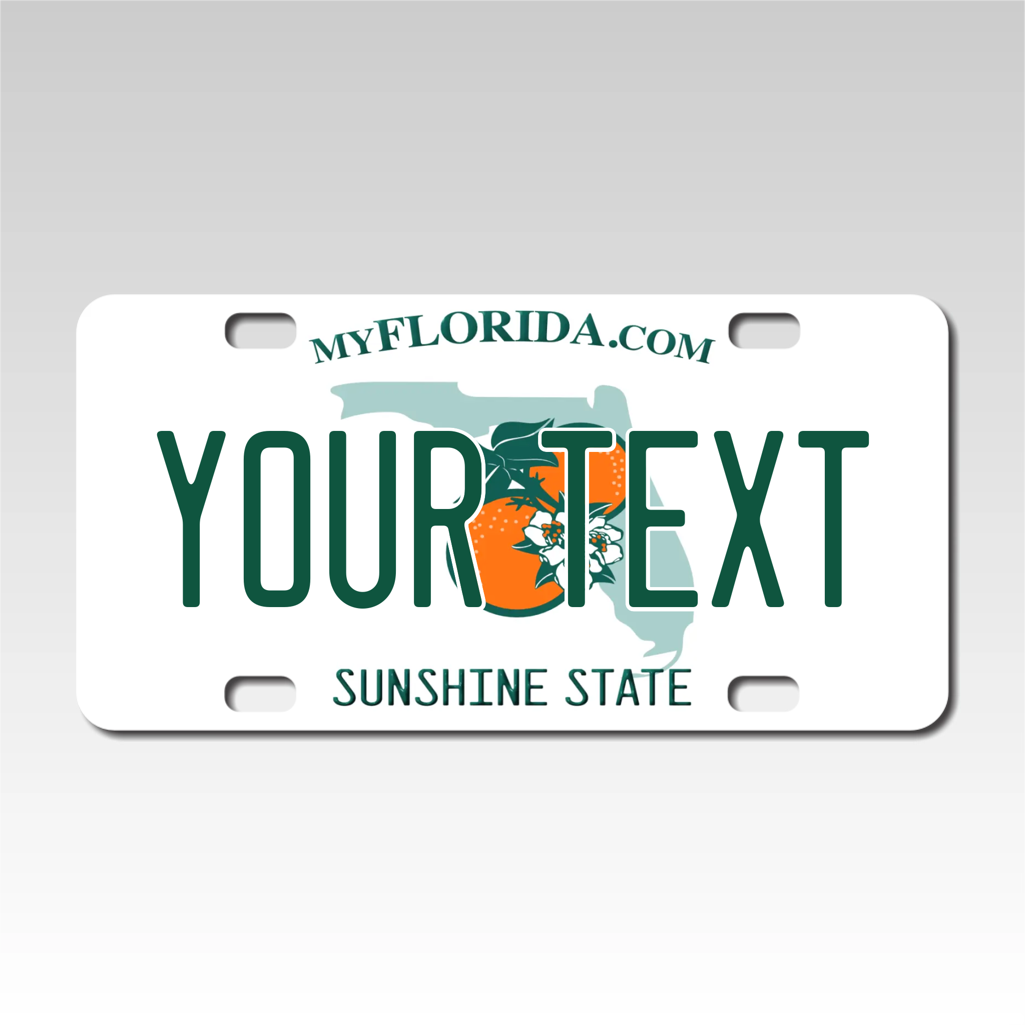 Personalized Florida 3" X 6" FRP Plastic License Plate (KLP-FL2-3X6P)