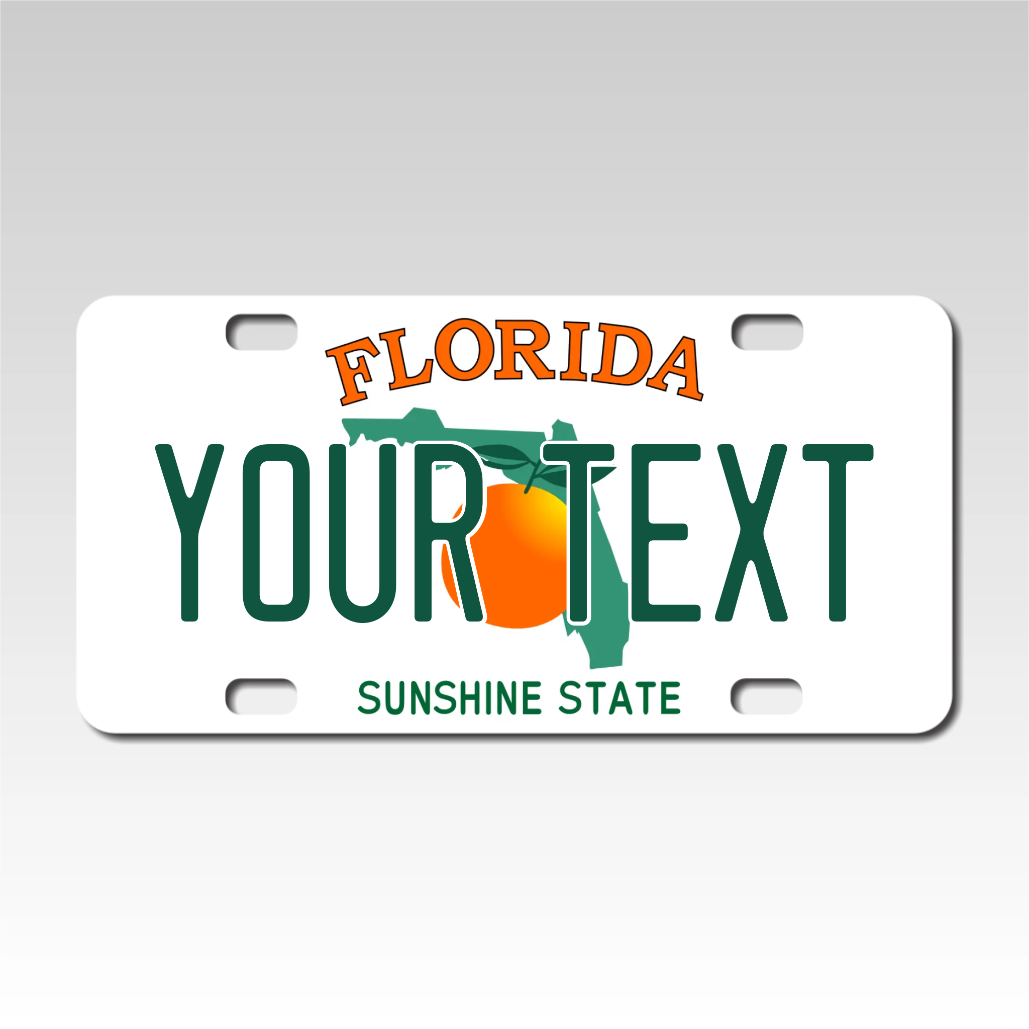 Personalized Florida 3" X 6" FRP Plastic License Plate Version 1