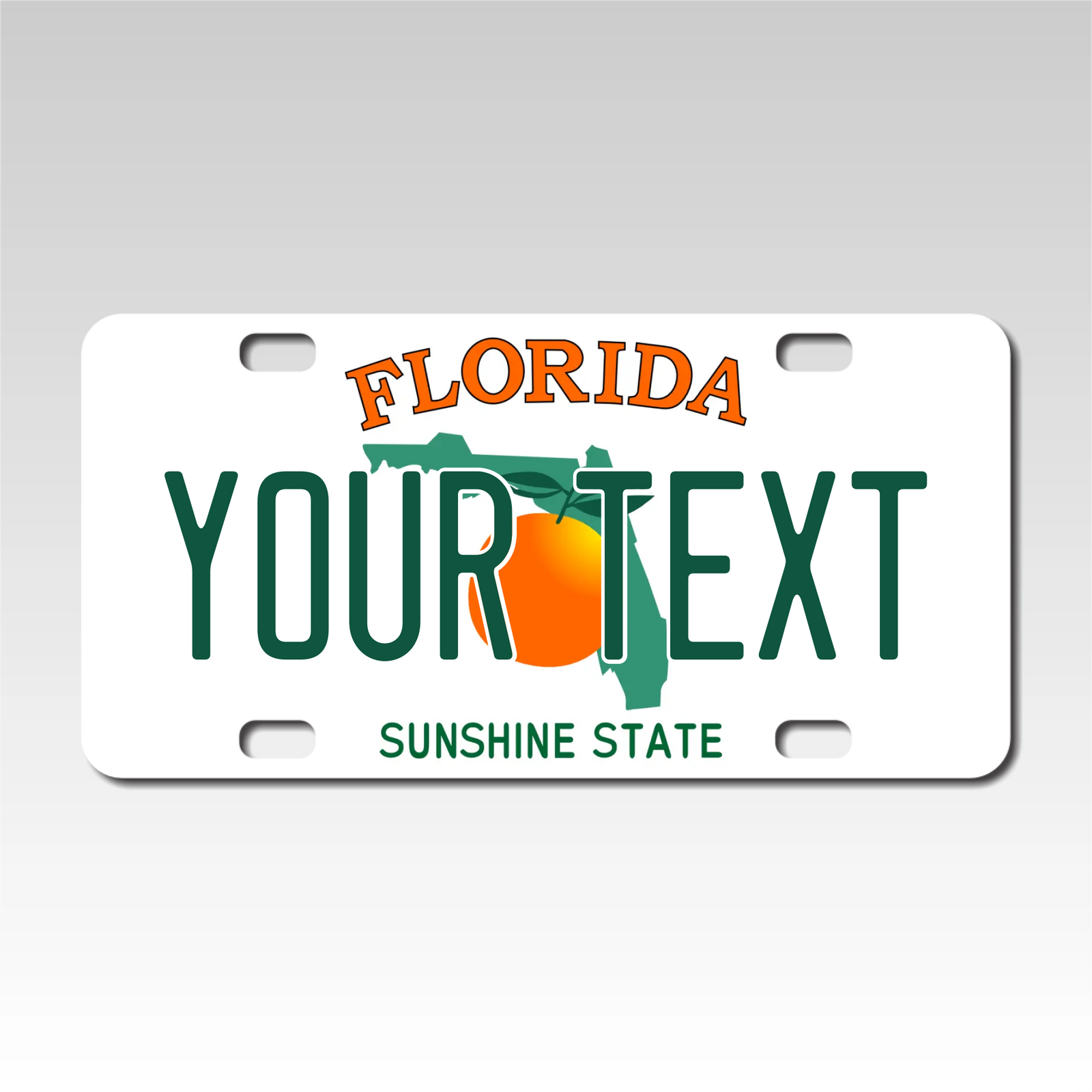 Personalized Florida 3