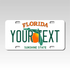 Personalized Florida 3" X 6" FRP Plastic License Plate Version 1