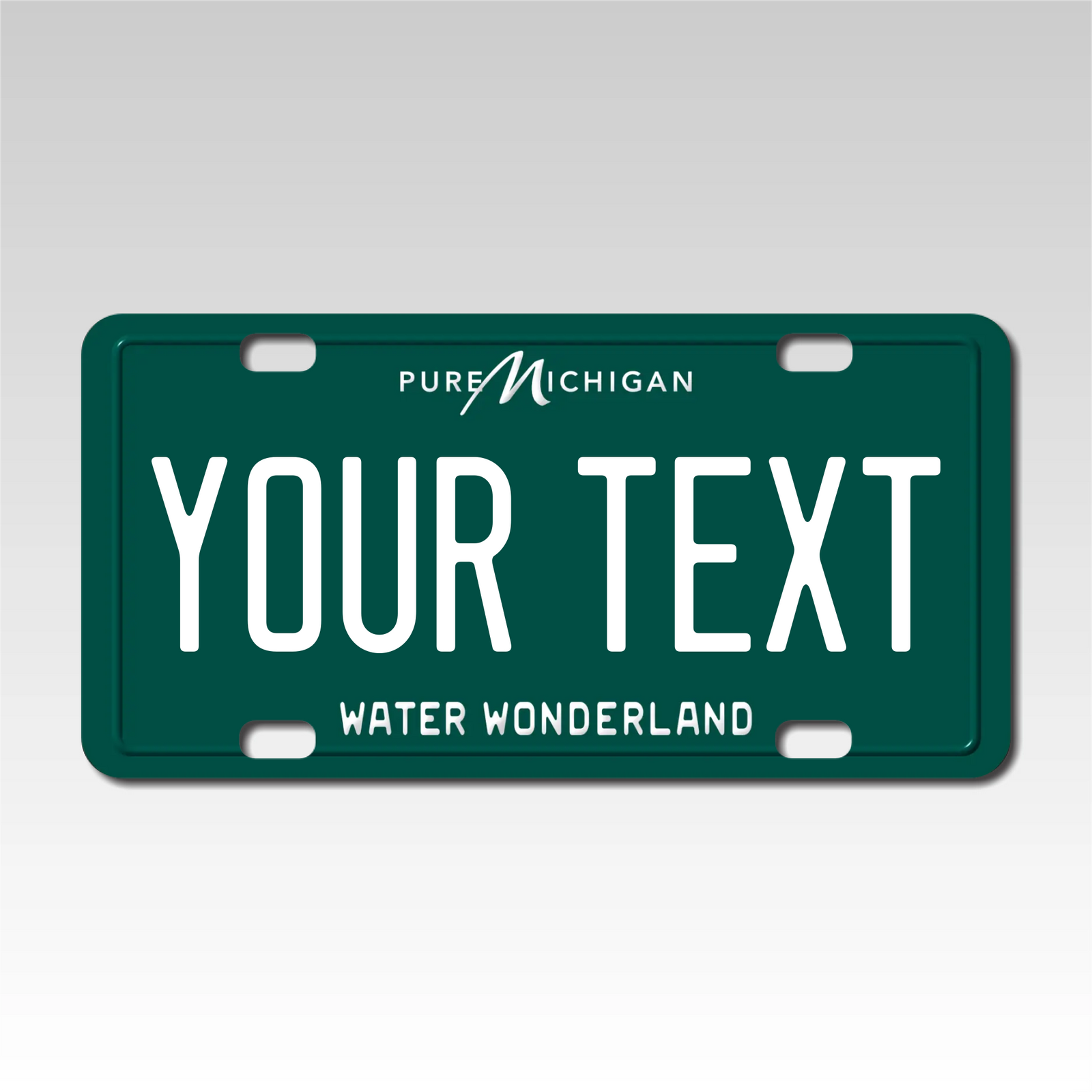Personalized Michigan 3