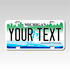 Personalized Michigan 3" X 6" FRP Plastic License Plate Version 2