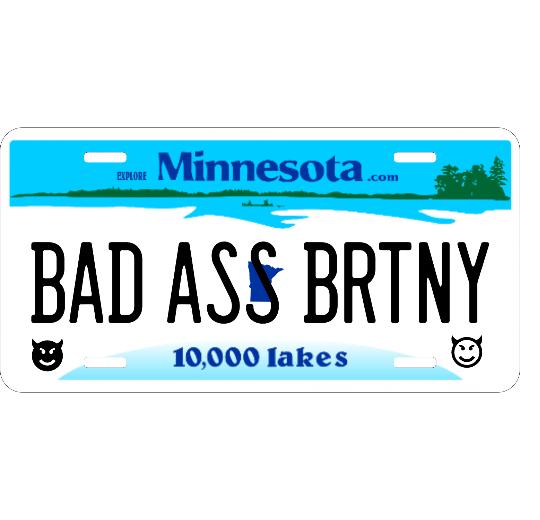 Personalized Minnesota 6&#34; X 12&#34; Aluminum License Plate Version 1
