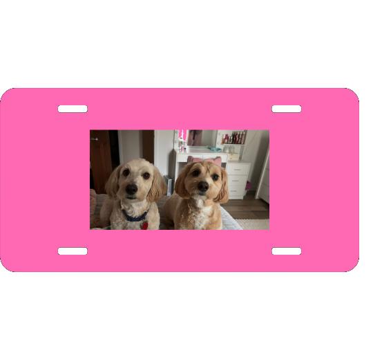 Design Your Own 6" X 12" Aluminum License Plate