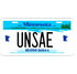 Personalized Minnesota 6&#34; X 12&#34; Aluminum License Plate Version 1