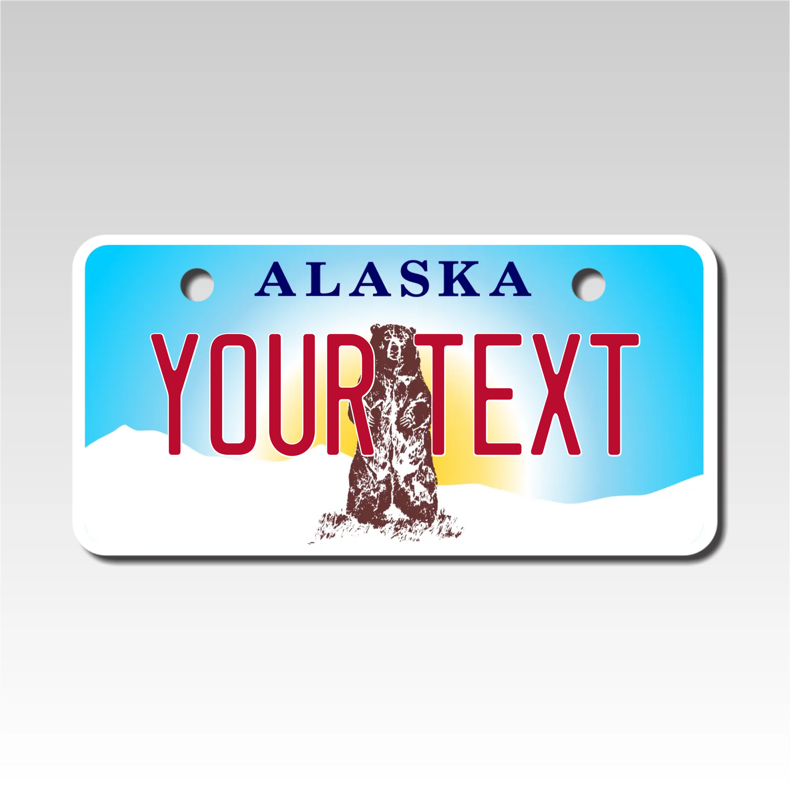 Custom Alaska Mini License Plate Personalized with Your Text - Size 2X4 - Custom Plate Pros