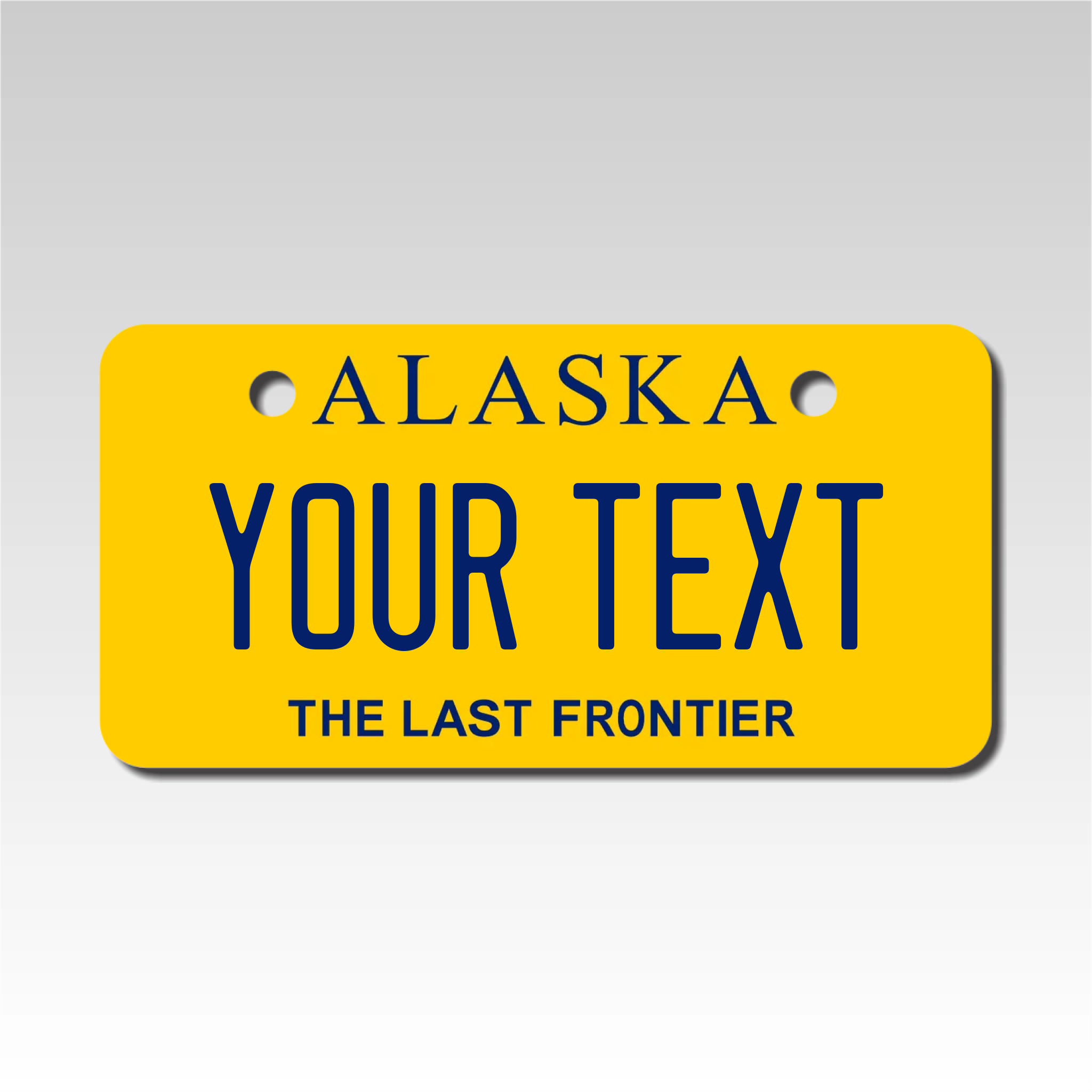 Custom Alaska Mini License Plate by Custom Plate Pros - Size 2X4 - Custom Plate Pros