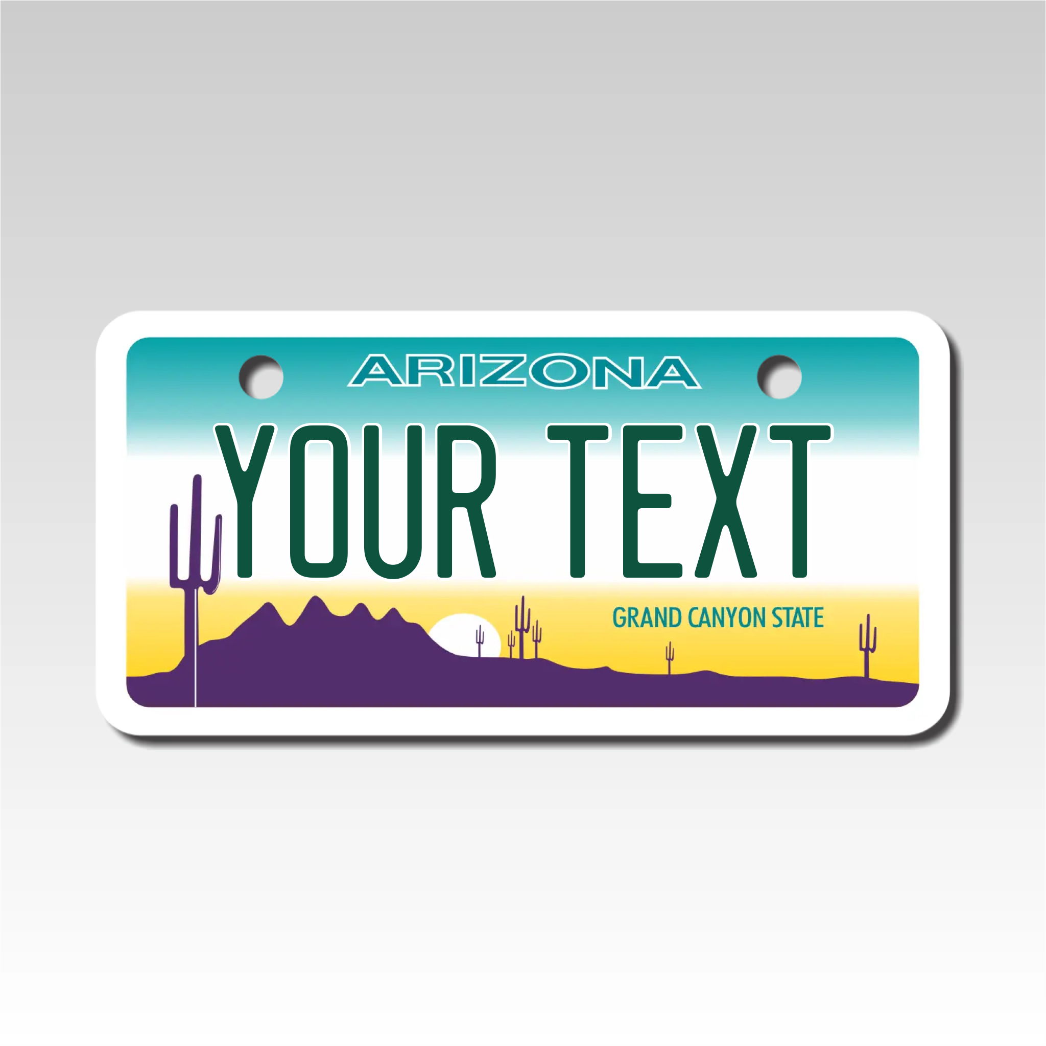 Custom Arizona Mini License Plate Personalized  with Your Text - Size 2X4