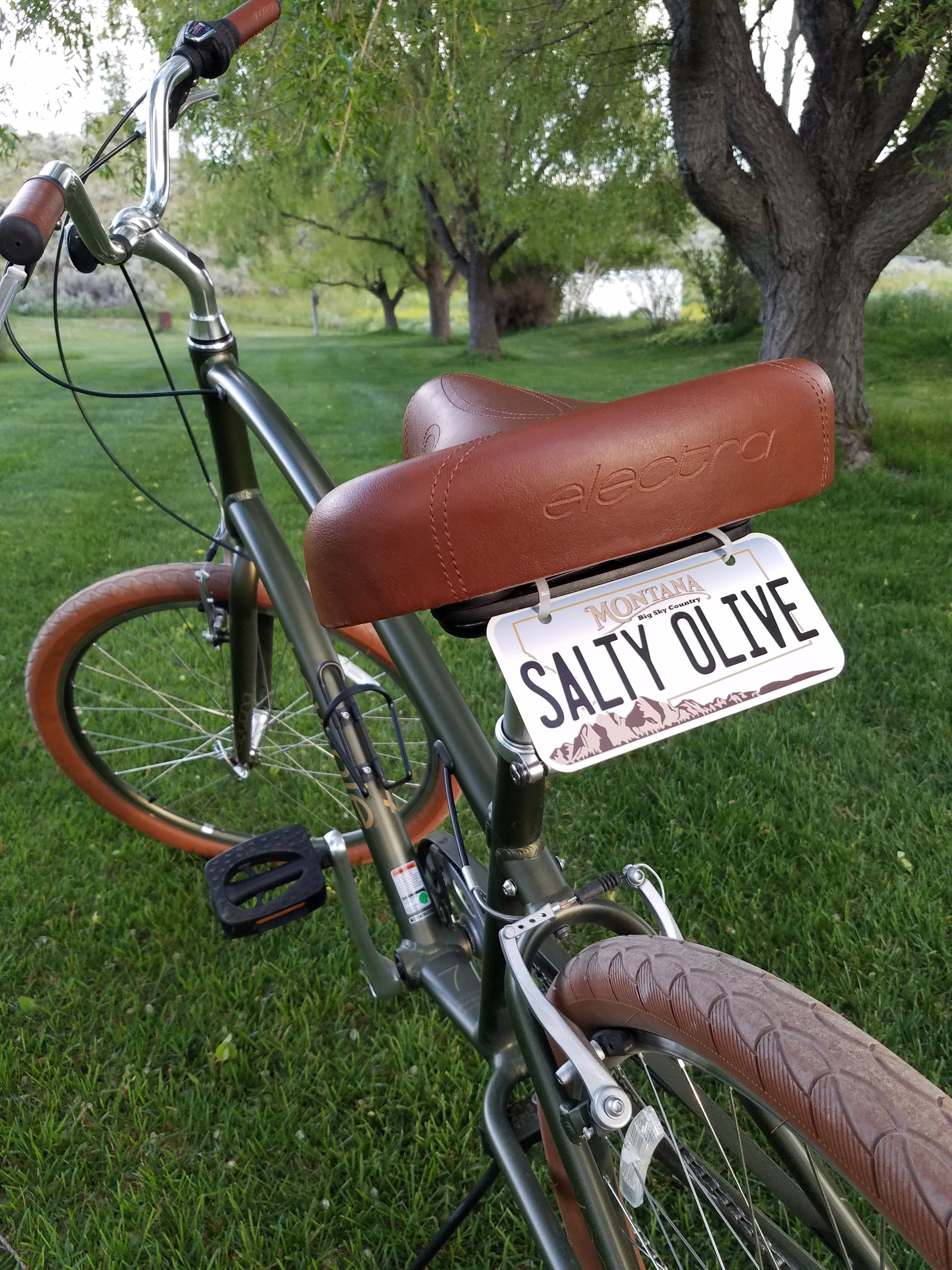 Personalized Montana 3" X 6" Aluminum License Plate Version 1