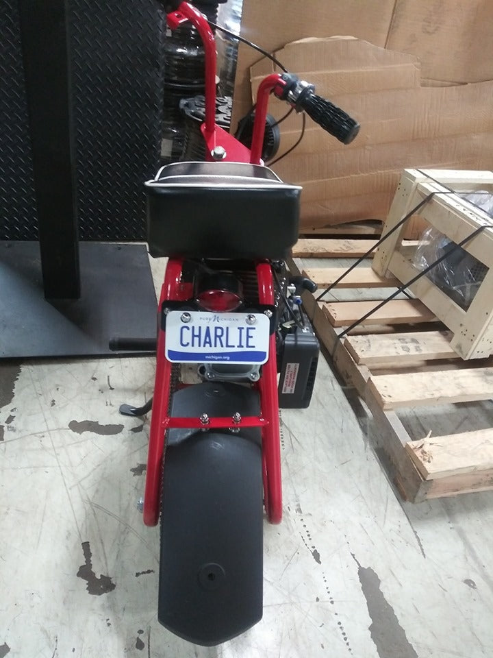 Personalized Michigan 3
