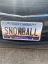 Personalized South Carolina 6" X 12" Aluminum License Plate Version 1