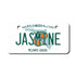 Personalized Florida 2" X 4" Aluminum License Plate (KLP-FL2-2X4)