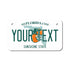 Personalized Florida 4" X 7" Aluminum License Plate (KLP-FL2-4X7)