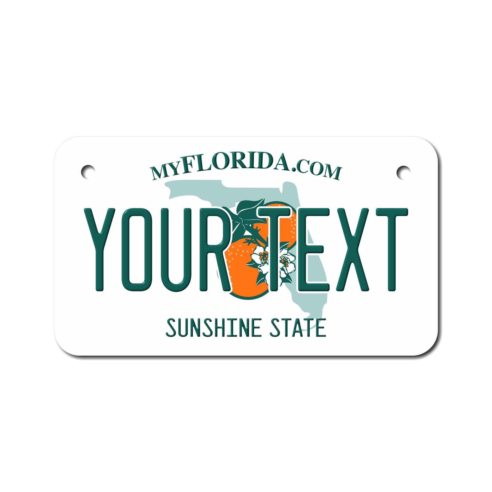 Personalized Florida 3