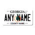 Personalized Georgia 6" X 12" Aluminum License Plate (KLP-GA2-6X12)