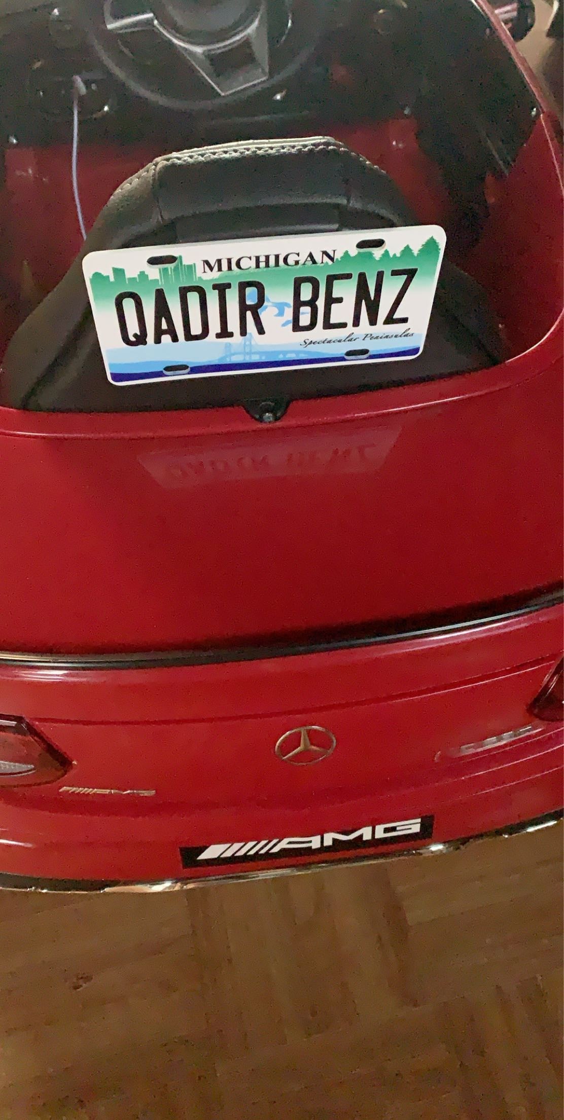 Personalized Michigan 3