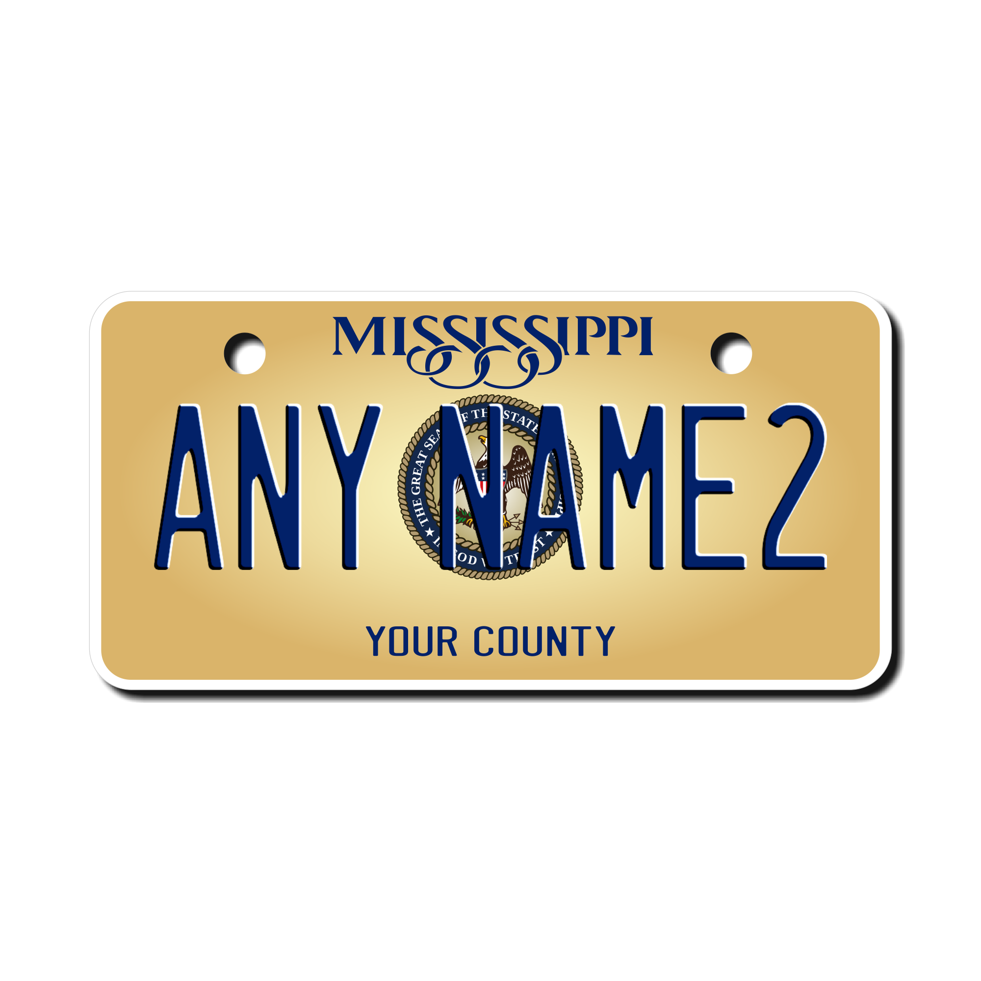 Personalized Mississippi 2" X 4" Aluminum License Plate
