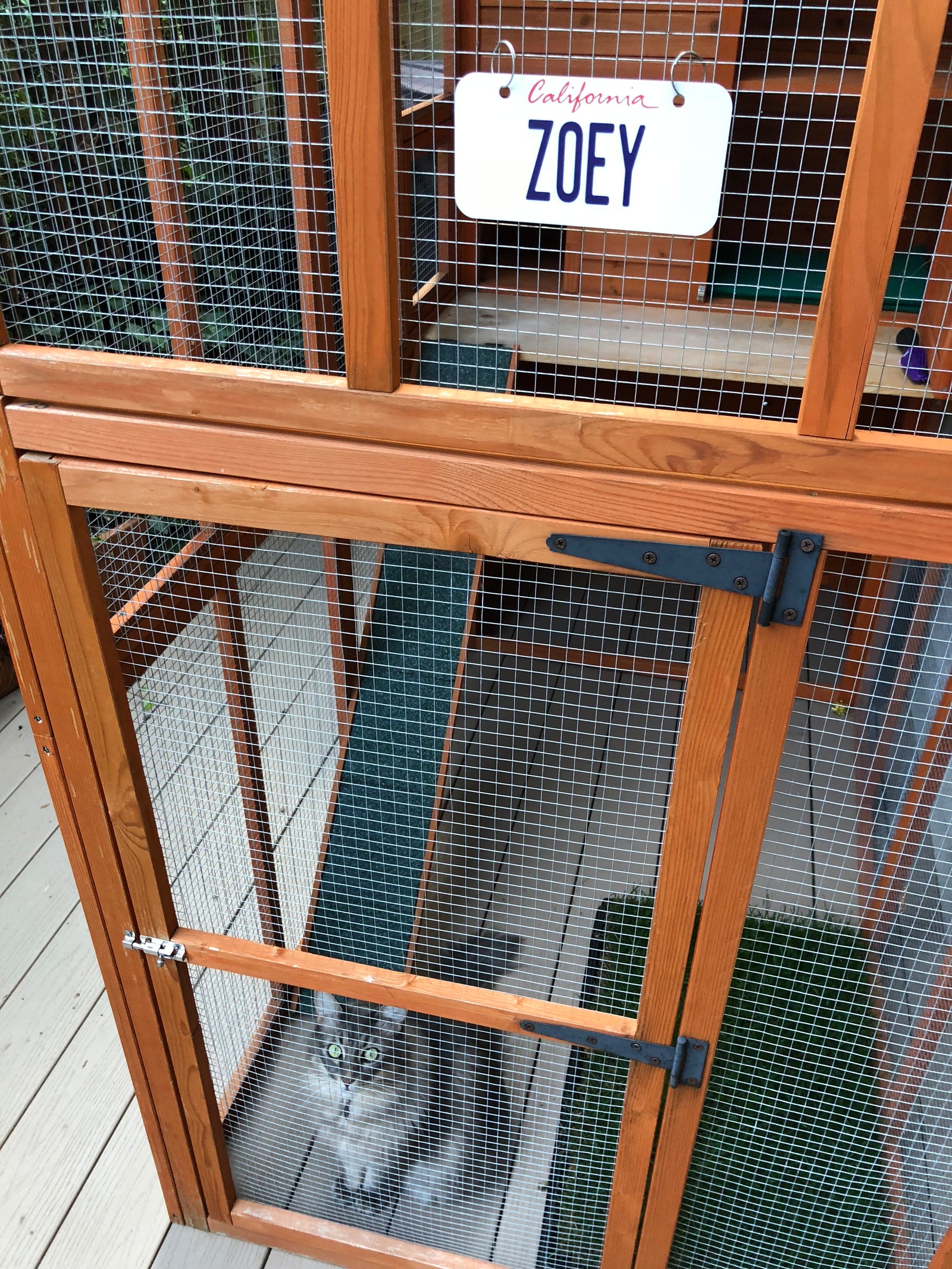 Custom California license plate reading 'ZOEY' displayed on a wooden cat enclosure