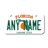 Personalized Florida 3" X 6" Aluminum License Plate Version 1