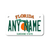 Personalized Florida 4" X 7" Aluminum License Plate Version 1  