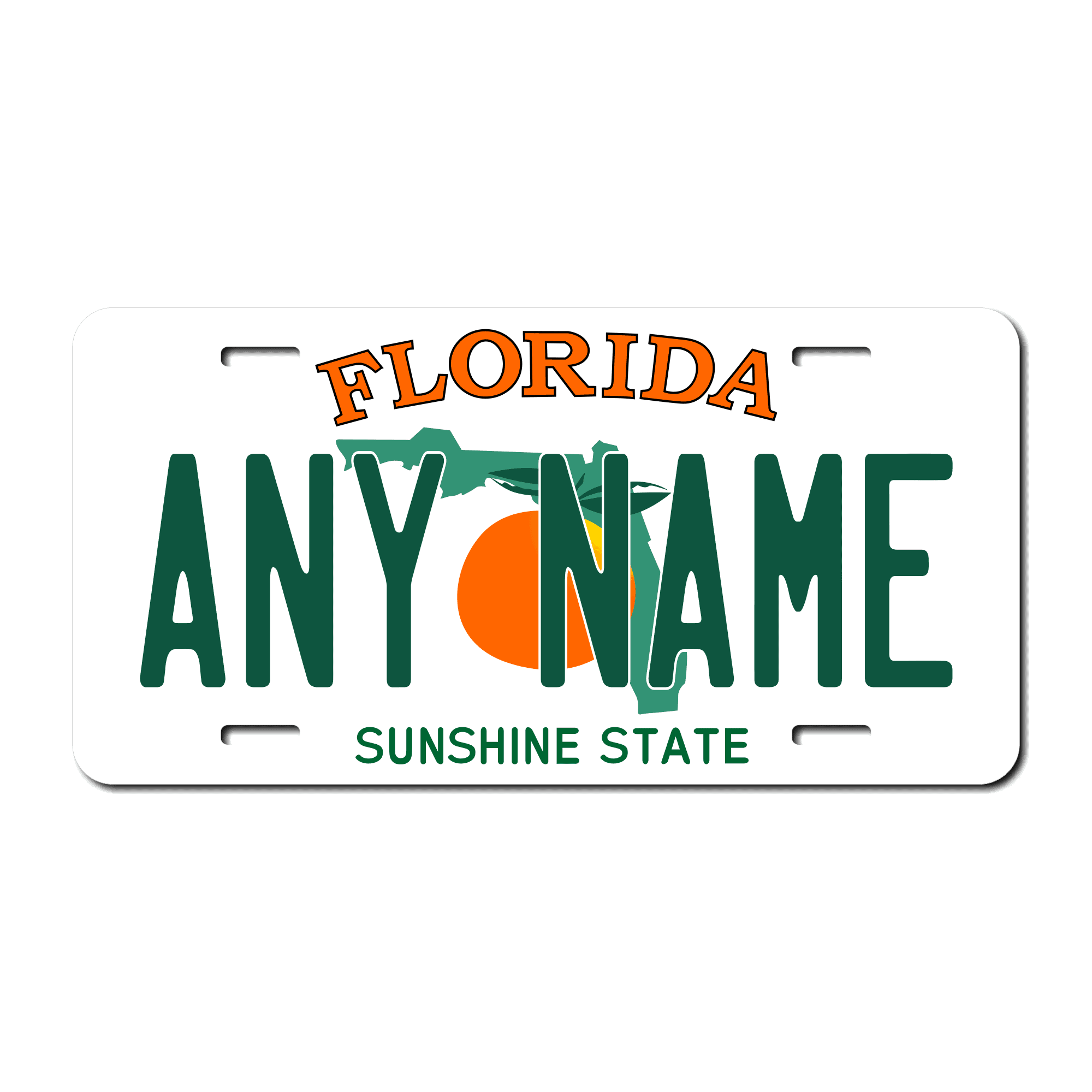 Personalized Florida 6" X 12" Aluminum License Plate Version 1