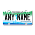 Personalized Michigan 3" X 6" FRP Plastic License Plate Version 2