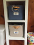 Personalized California 2" X 4" Aluminum License Plate displayed above storage baskets labeled Zoey and Owen