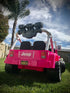 Personalized California 2" X 4" Aluminum License Plate black gold on a pink toy Jeep in a grassy yard