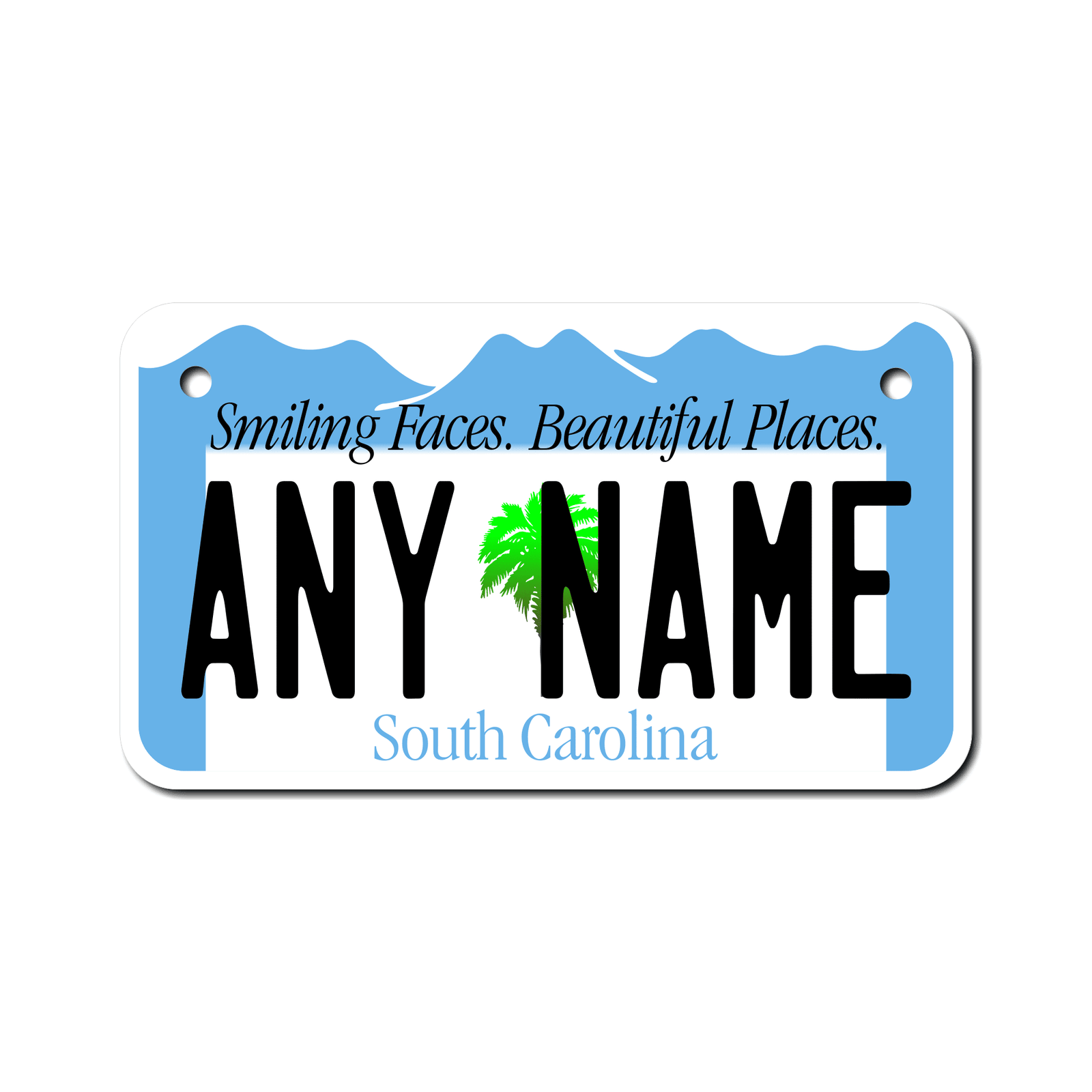 Personalized South Carolina 4