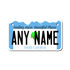 Personalized South Carolina 4" X 7" Aluminum License Plate Version 2