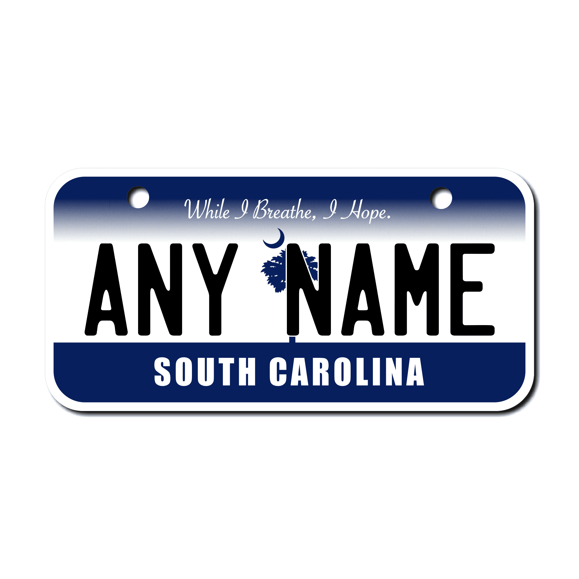 Personalized South Carolina 3" X 6" Aluminum License Plate Version 4