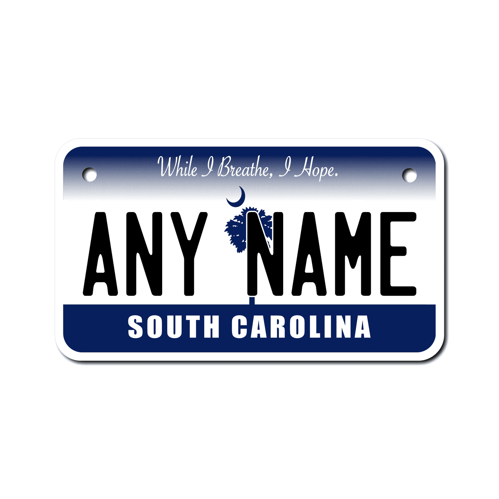 Personalized South Carolina 4