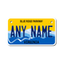 Personalized Virginia 4" X 7" Aluminum License Plate Version 4